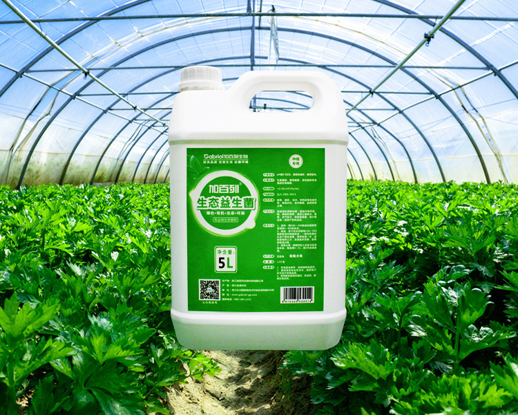 微生物肥料 農業綠色發展的新引擎